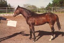 ĭŸŸ (CANTATA) ����