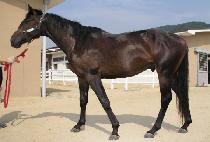 �ᰳ (JAMGAE) ����