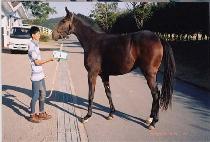 ���� (UNGILSAN) ����