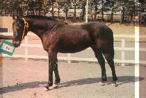 ū�︲ (KEUNULLIM) ����