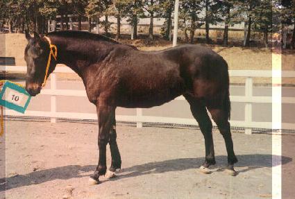 ū�︲ ����