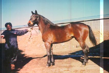 Ÿ�� ����