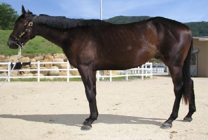 �鳪�ϰ� ����