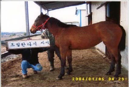 �帲��� ����