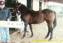 ���� (YEHYANG) ����