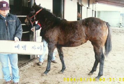 ���� ����