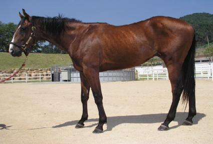 �̽� ����