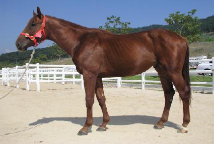 ��Ư�޵��� ����