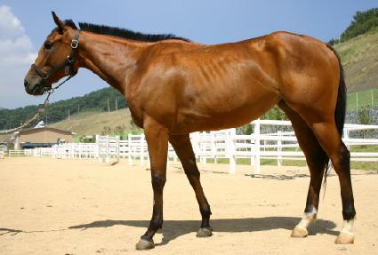 ���� ����