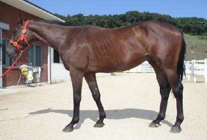 ���������� ����