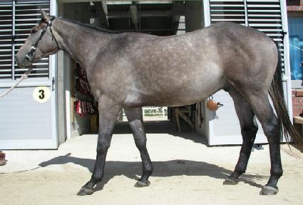 ���׼� ����