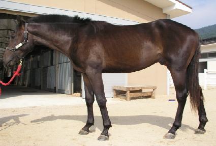 �ݺ���� ����