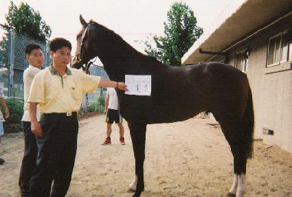 ũ��� ����