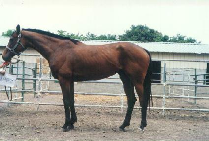 �������� ����