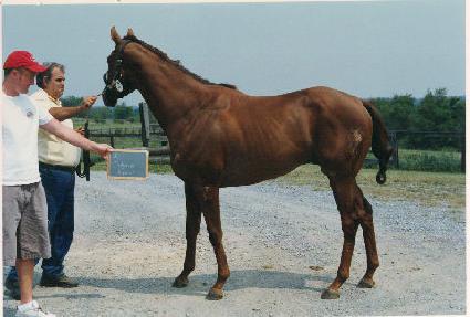 ���Ϸ����ǹ� ����