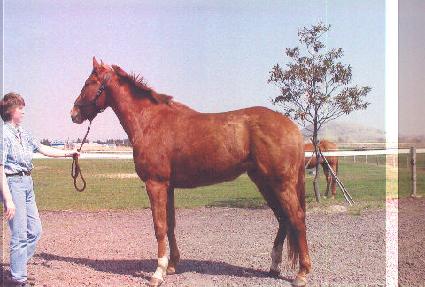 ���̽���� ����