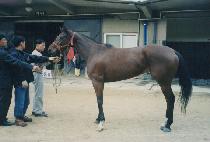 ������Ƽ (APPOINTEE) ����