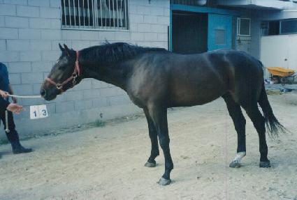 ����� ����