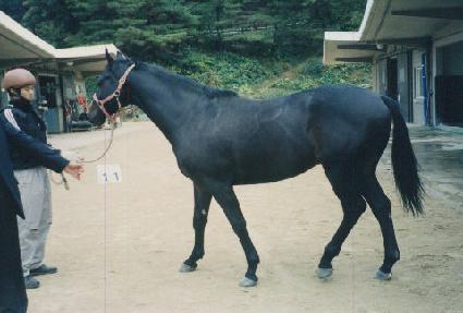 ķ������ ����