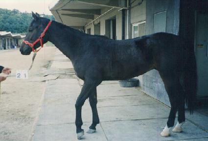 �����δ����� ����