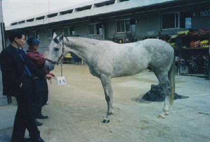 �÷����޽��� ����