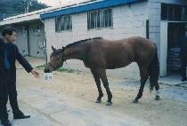 ���ͷ����ֽ�ũ�� (LITERALLY ASK HIM) ����