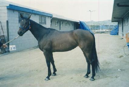 �������� ����