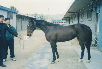 ��Ʈ��� ����