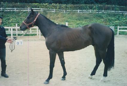 ��ο� ����