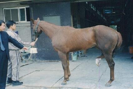 ���̽����� ����