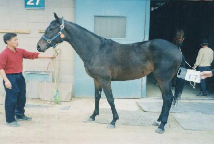 ������ ����