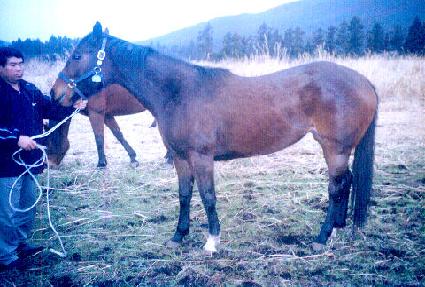 �Ÿ�� ����