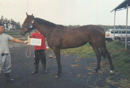 �����ó����ũ ����