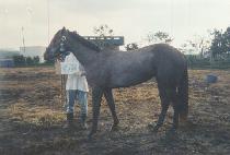 ����Ÿ�߿� (WAYTA YAWA) ����