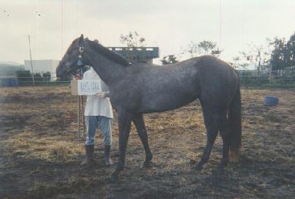 ����Ÿ�߿� ����