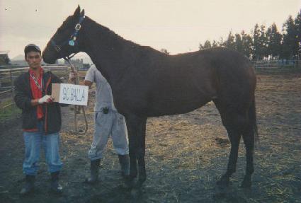 ���߶� ����