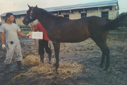 ��ġ������Ʈ ����