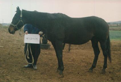 ���־������ ����