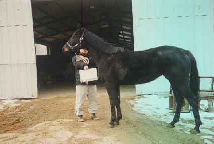 �߸�������� ����