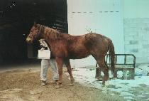 ����Ÿ�� (JAZZ TIME) ����