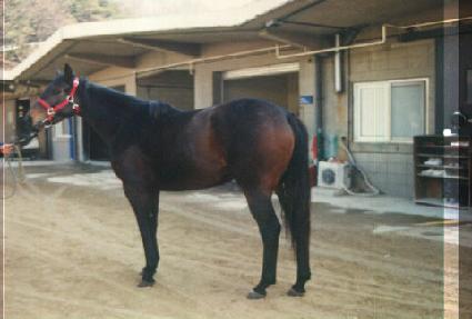 ���ٺ� ����