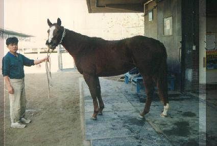 �̽���Ƽ ����