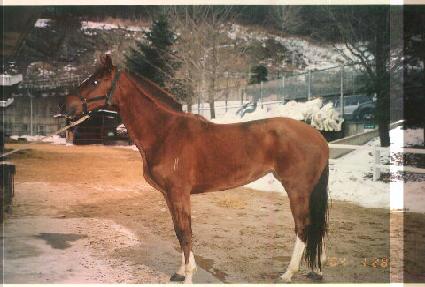 �ö��׺��� ����