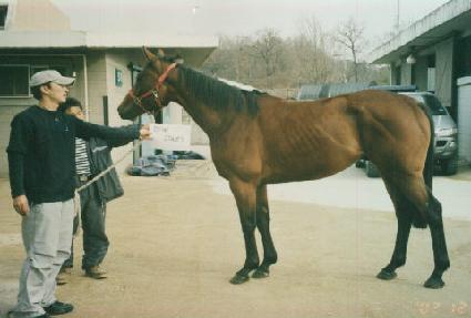 �ٿ����� ����