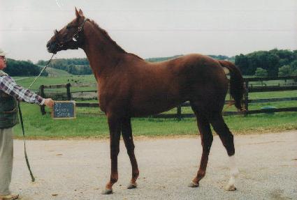 �ֵ�彺���̽� ����