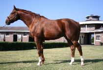 BUSTER'S DAYDREAM picture