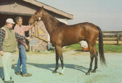 ������ġ ����