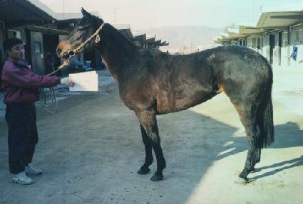 ��Ƽ���а� ����