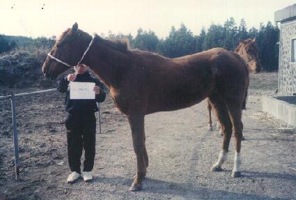 �̱����͸ƽ� ����