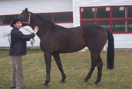 ���ī��Ƽ�鸮 ����